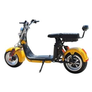 2 Wheel Electric Scooter with Handle