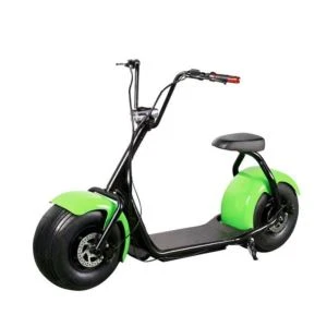 Citycoco Electric Scooter