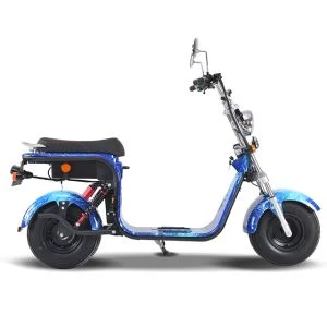 Citycoco Motorcycle