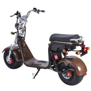 Citycoco Scooter Children