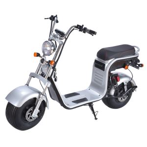 Citycoco Scooter for Adults