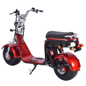 Citycoco Scooter for Childrens