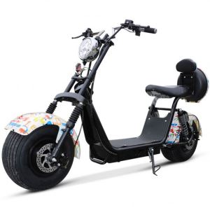 Citycoco Scooter for Man
