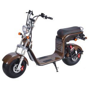 Electric Scooter Kids