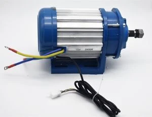 1100W BLDC Motor