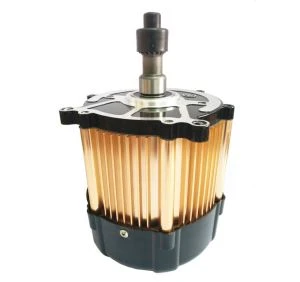 800W BLDC Motor