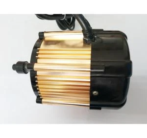 E Rickshaw Bldc Motor