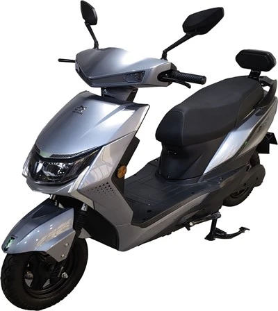 800W Electric Touring Motorcycle