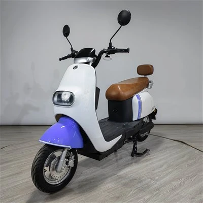 Lightweight Fashion Design Electric Motorcycle